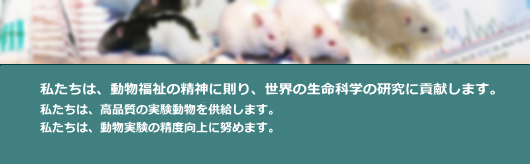 私たちは、動物福祉の精神に則り、世界の生命科学の研究に貢献します。